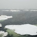 Морские инженерно-экологические изыскания в Охотском море