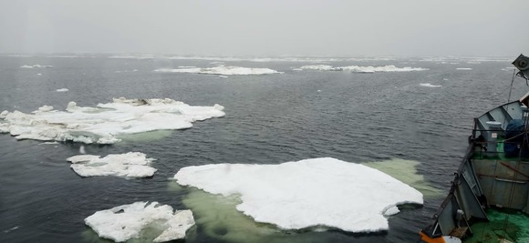 Marine engineering and environmental surveys in the Sea of Okhotsk